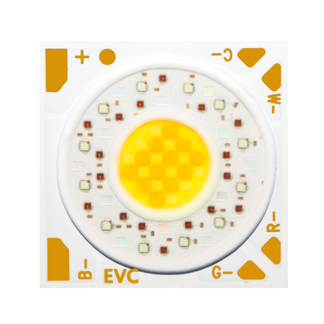 Introducción Evercore