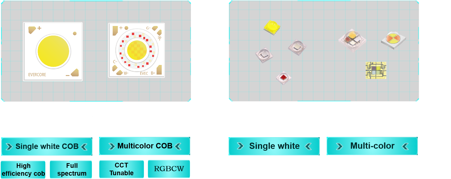 Introducción Evercore