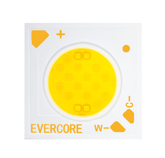 Introducción Evercore
