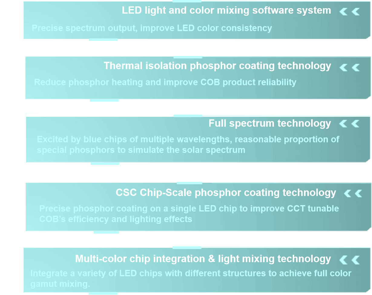 Introducción Evercore