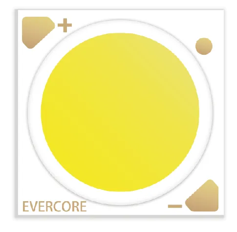 Evercore Constant Voltage COB Series Special Topic Evercore Constant Voltage COB Series Special Topic