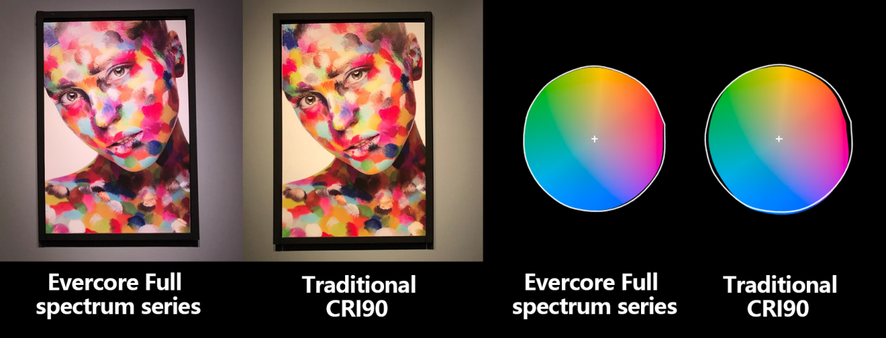 全光谱 Evercore Full Specturm Series Topic