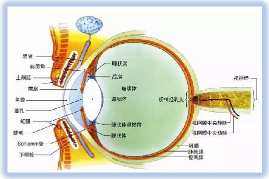 全光谱 Evercore Full Specturm Series Topic