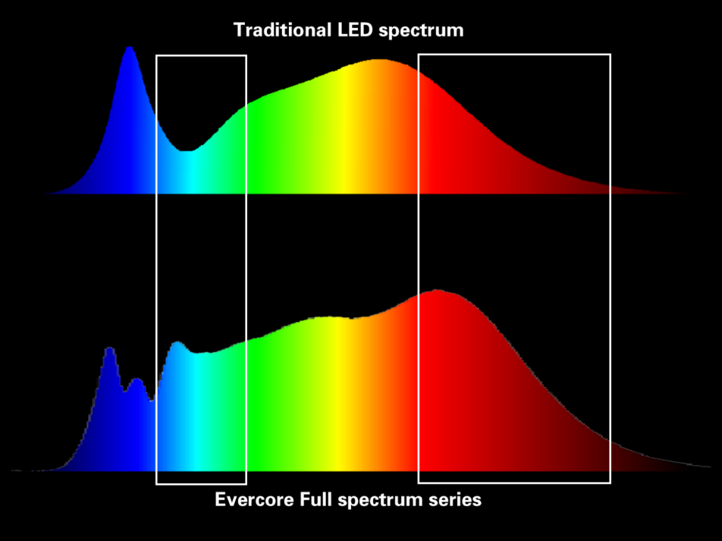 全光谱 Evercore Full Specturm Series Topic