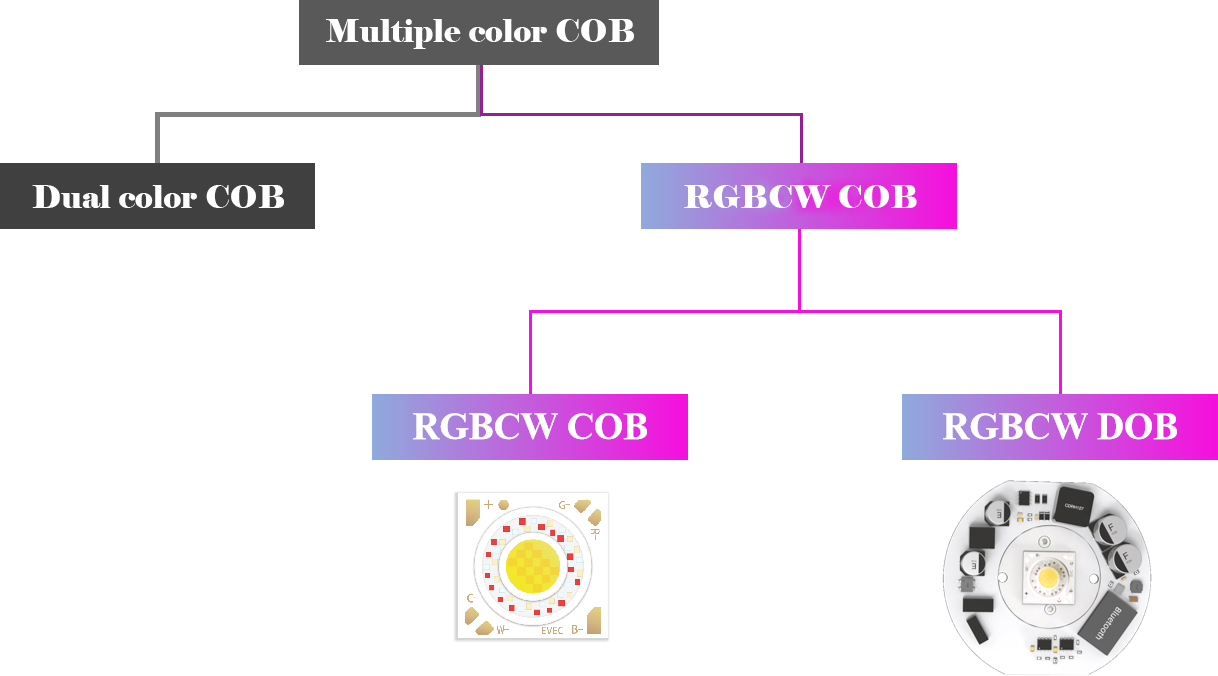 全色域 Evercore RGBCW Series Topic